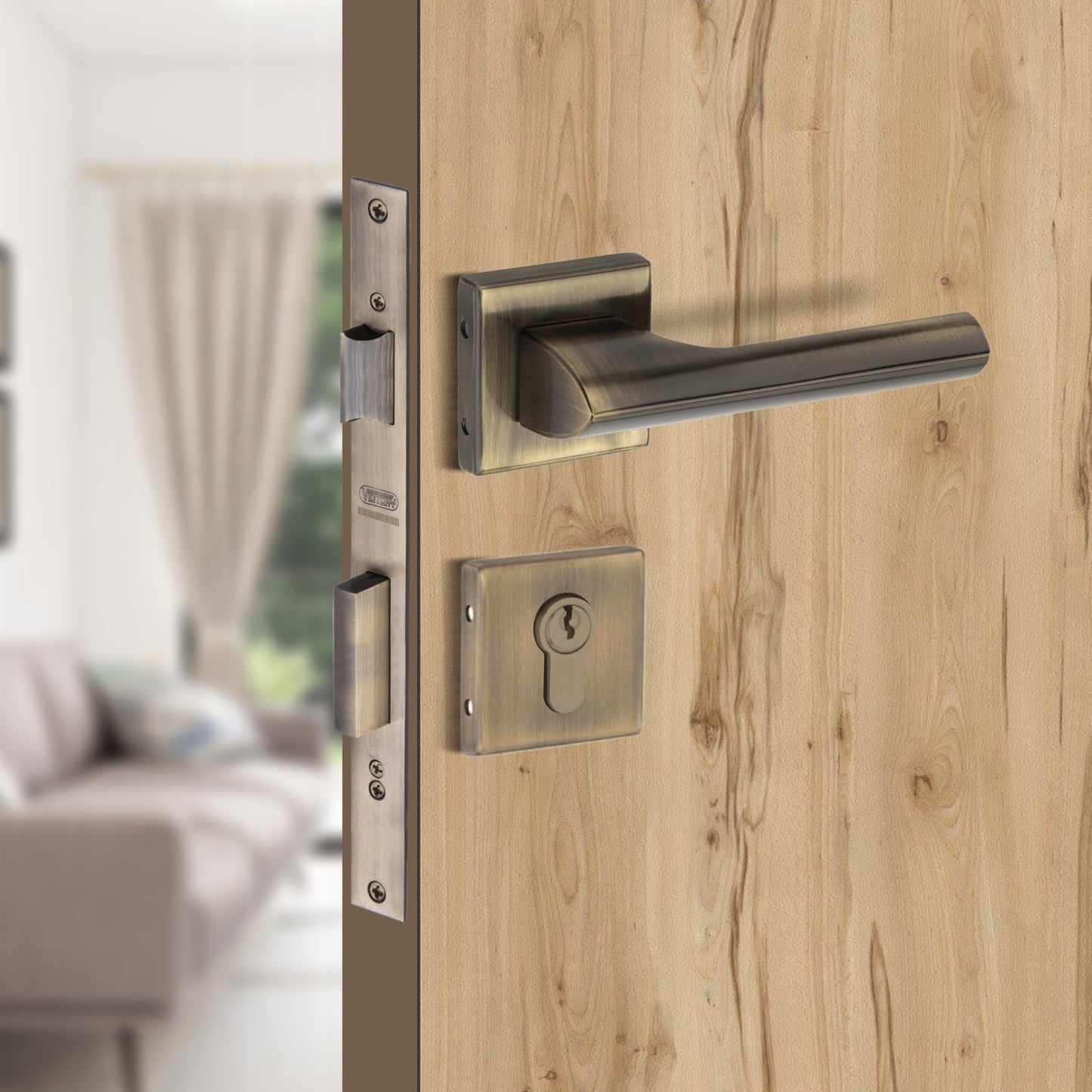 Stainless Steel Rosette Handle | 60mm Cylinder | 3 Brass Keys | One-Side Knob