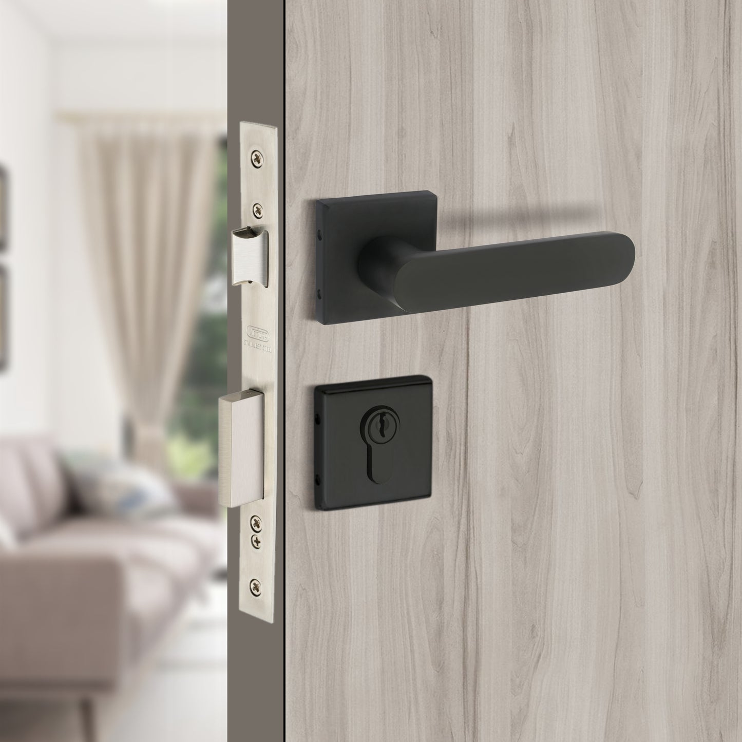 Stainless Steel Rosette Handle | 60mm Cylinder | 3 Brass Keys | One-Side Knob