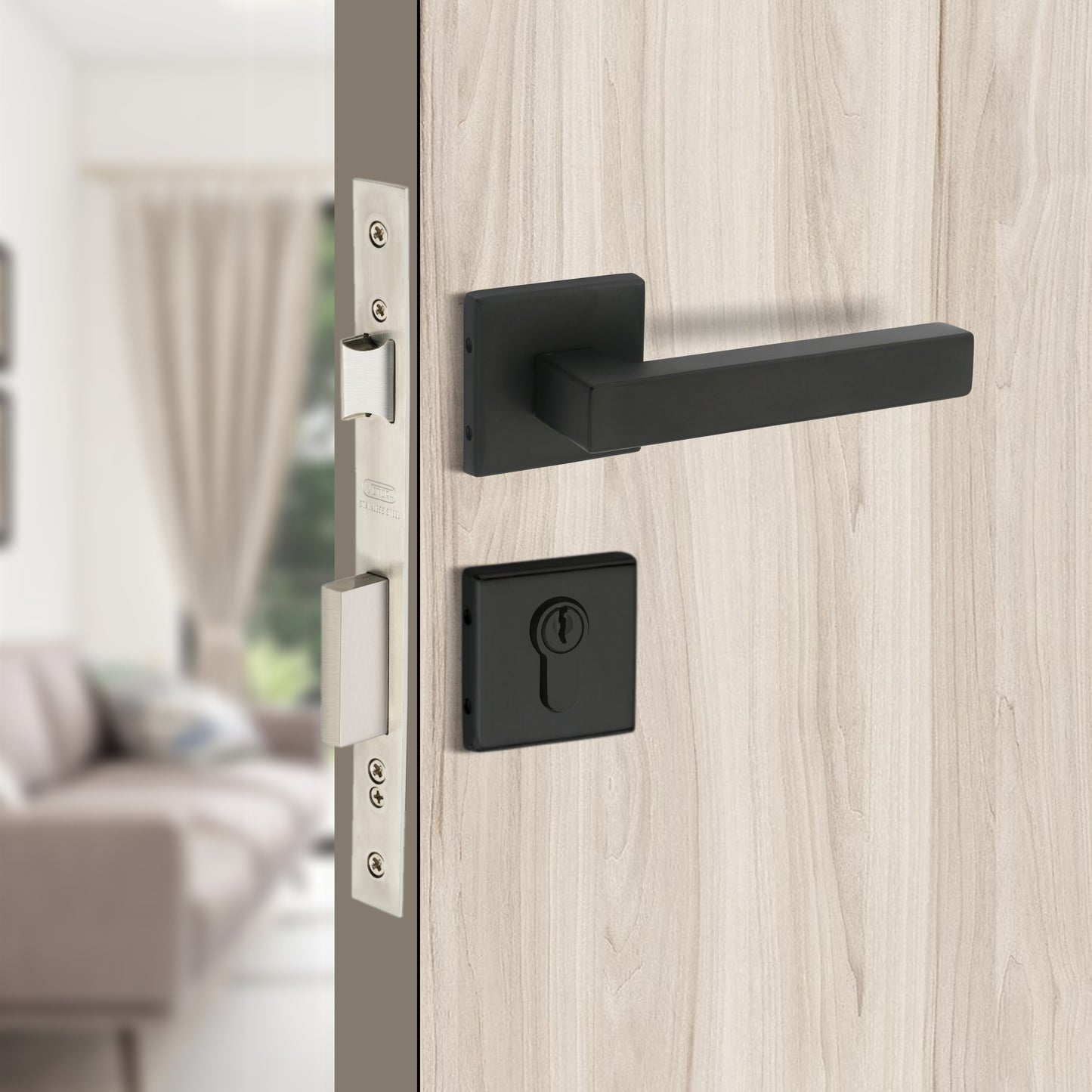 Stainless Steel Rosette Handle | 60mm Cylinder | 3 Brass Keys | One-Side Knob