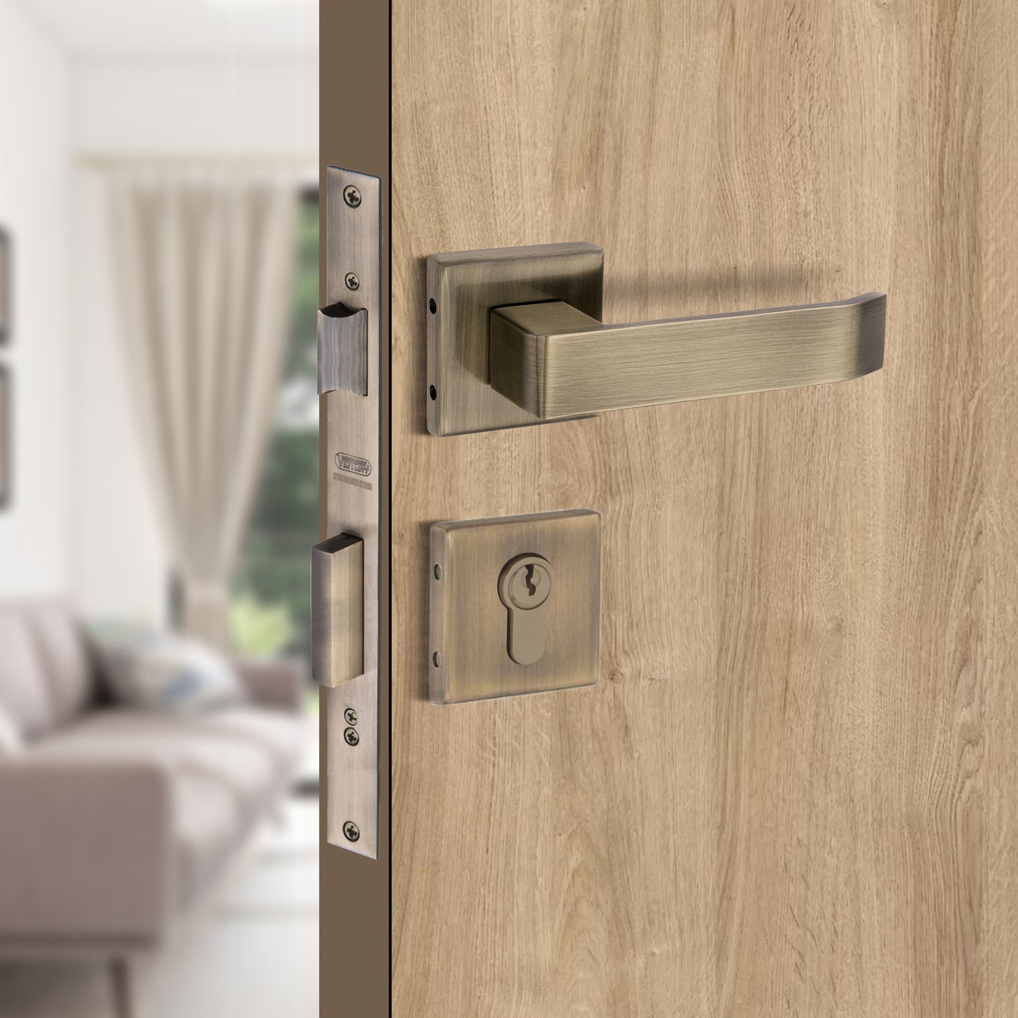 Stainless Steel Rosette Handle | 60mm Cylinder | 3 Brass Keys | One-Side Knob