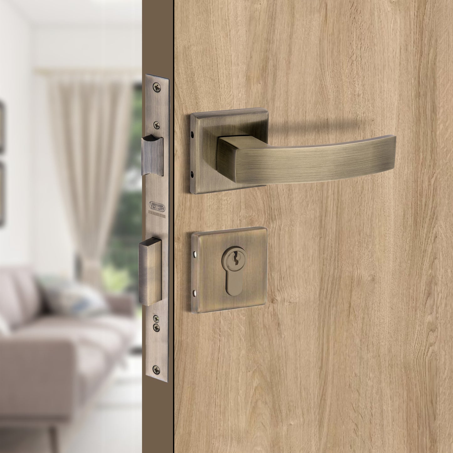 Stainless Steel Rosette Handle | 60mm Cylinder | 3 Brass Keys | One-Side Knob