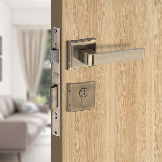 Stainless Steel Rosette Handle | 60mm Cylinder | 3 Brass Keys | One-Side Knob