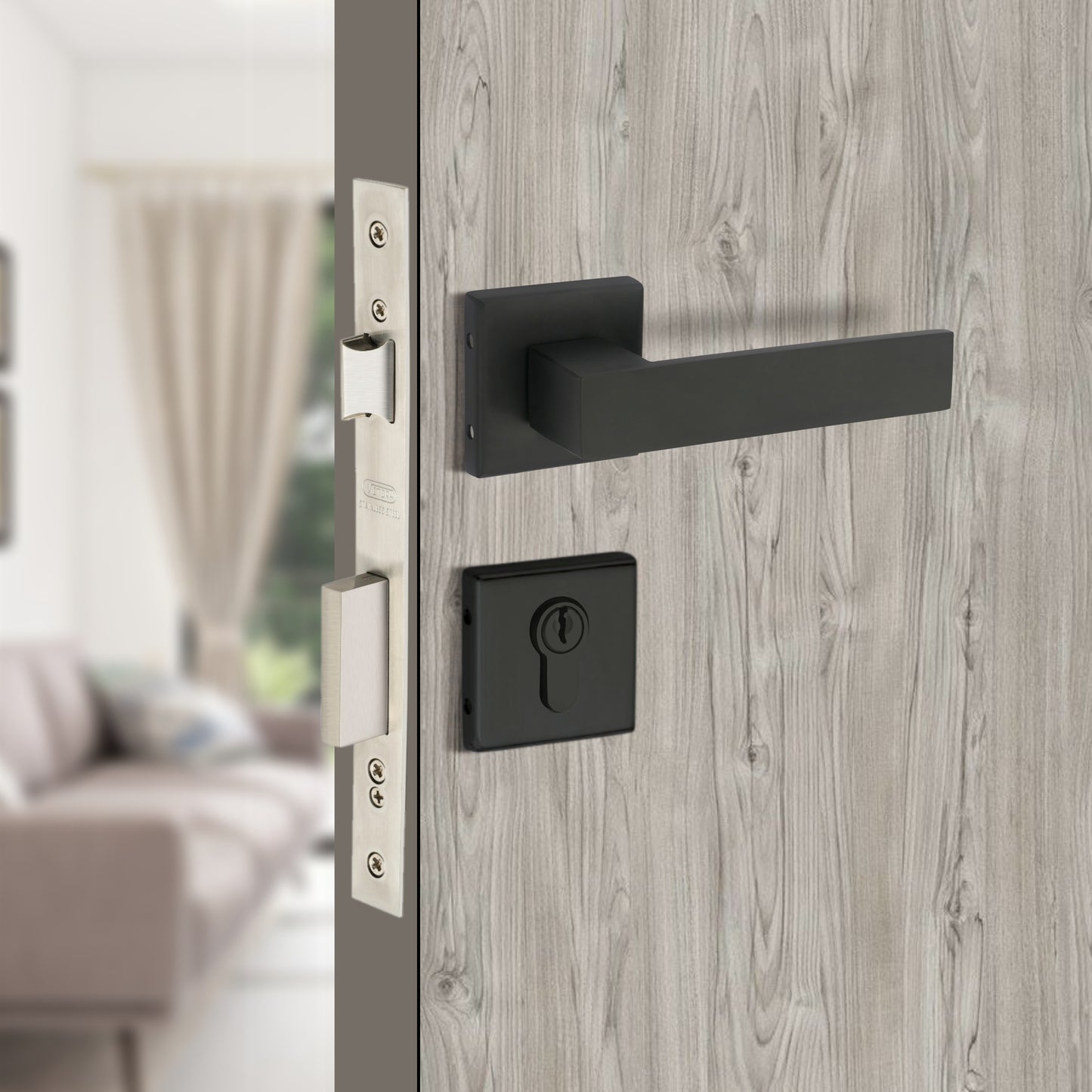 Stainless Steel Rosette Handle | 60mm Cylinder | 3 Brass Keys | One-Side Knob