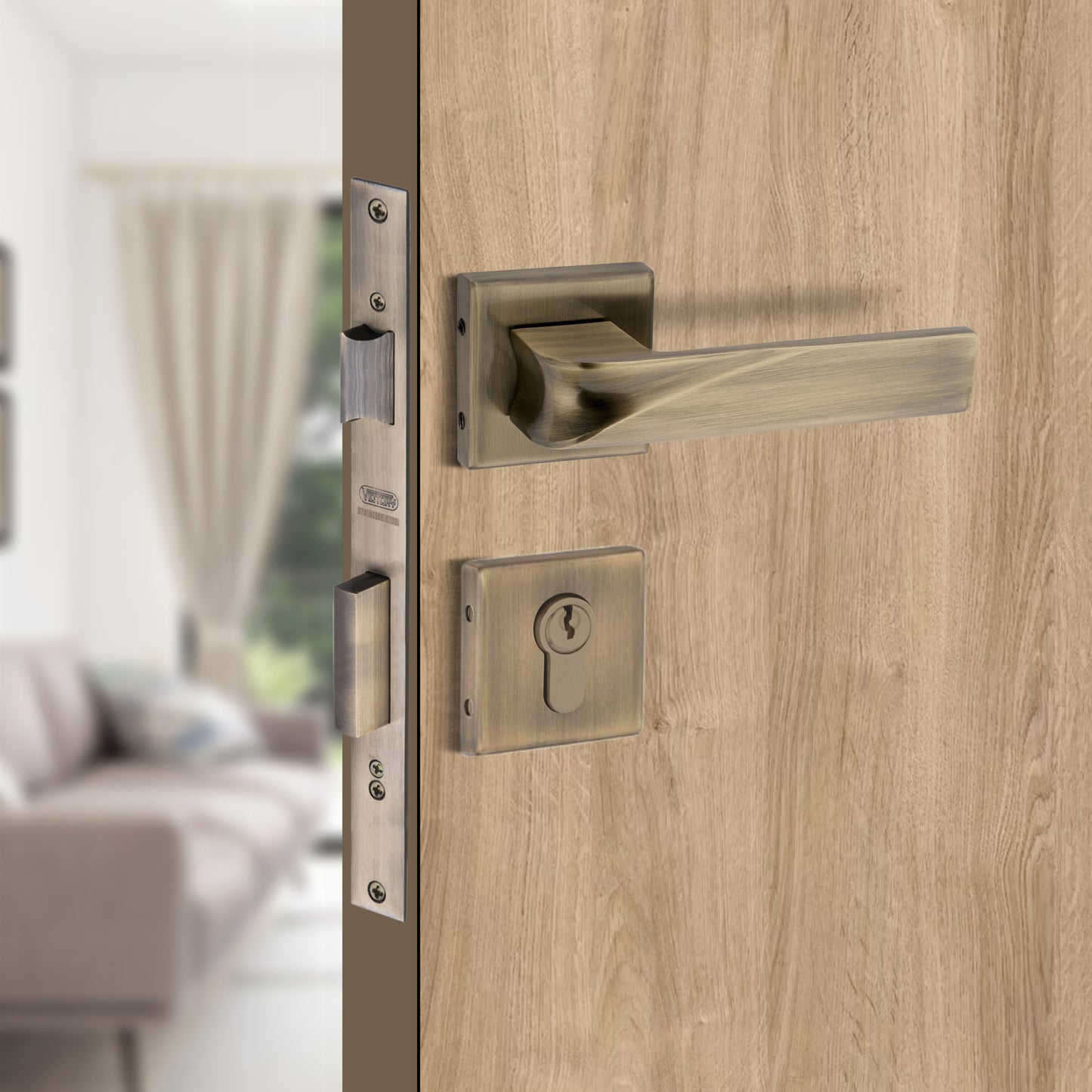 Stainless Steel Rosette Handle | 60mm Cylinder | 3 Brass Keys | One-Side Knob