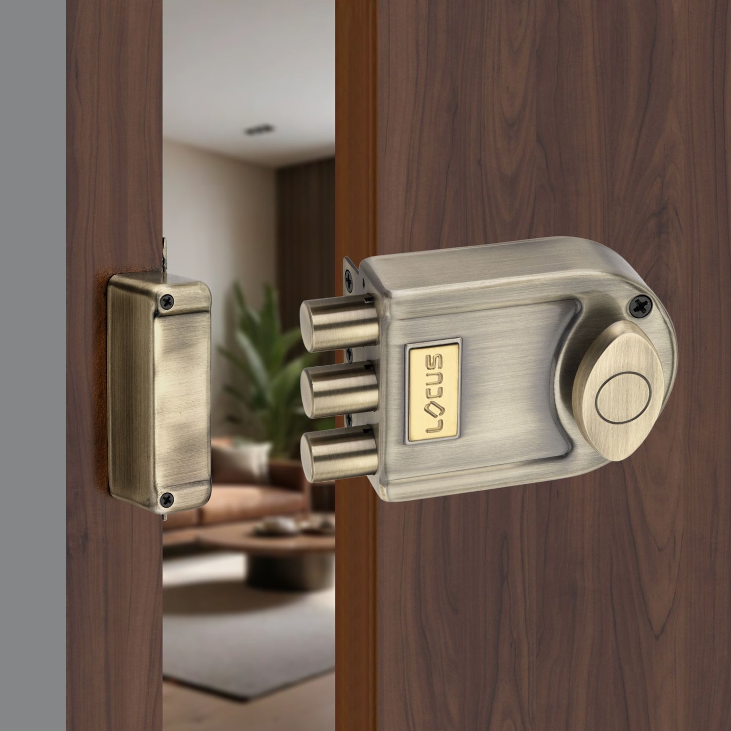 Tribolt | One Side Knob | Antique Finish