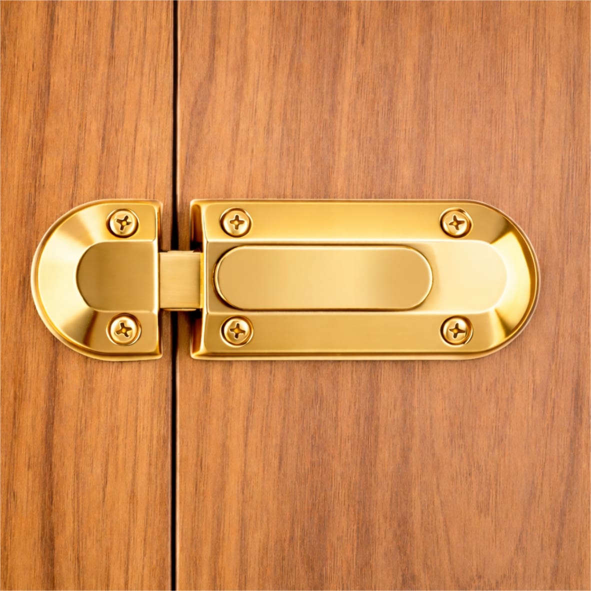 Door Latch