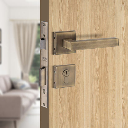 Stainless Steel Rosette Handle | 60mm Cylinder | 3 Brass Keys | One-Side Knob