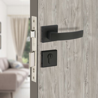 Stainless Steel Rosette Handle | 60mm Cylinder | 3 Brass Keys | One-Side Knob