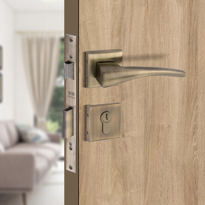 Stainless Steel Rosette Handle | 60mm Cylinder | 3 Brass Keys | One-Side Knob