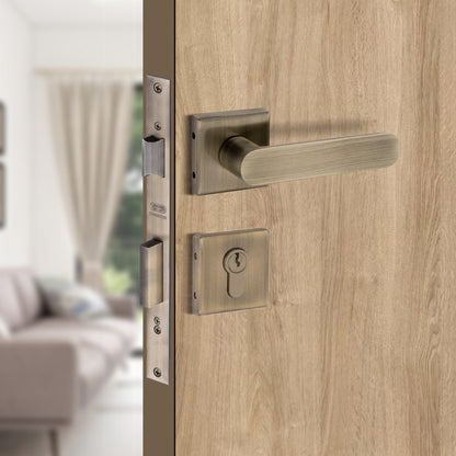 Stainless Steel Rosette Handle | 60mm Cylinder | 3 Brass Keys | One-Side Knob