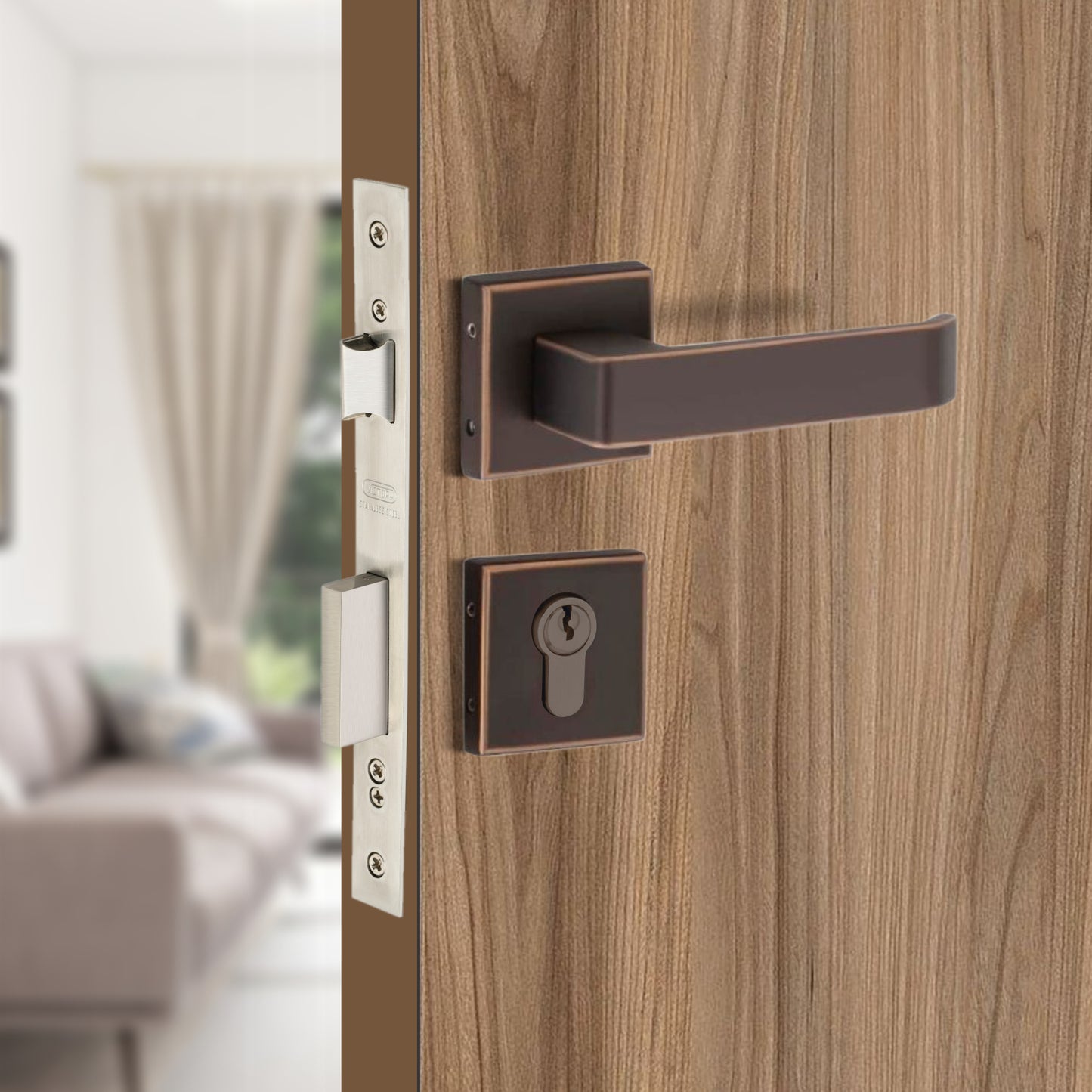 Stainless Steel Rosette Handle | 60mm Cylinder | 3 Brass Keys | One-Side Knob