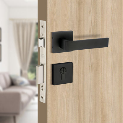 Brass Rosette Handle| 60mm Brass Cylinder | 3 Brass Keys | One-side knob