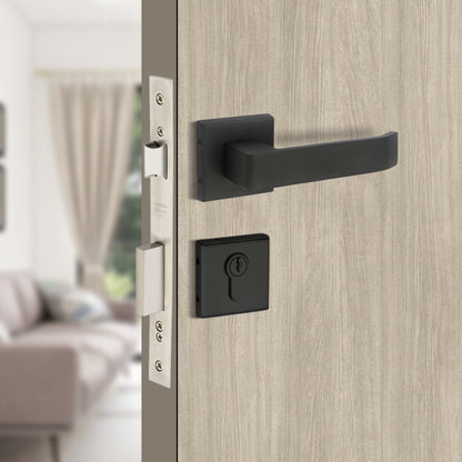 Stainless Steel Rosette Handle | 60mm Cylinder | 3 Brass Keys | One-Side Knob