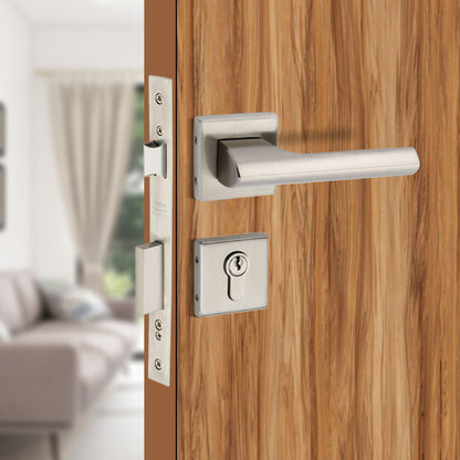 Stainless Steel Rosette Handle | 60mm Cylinder | 3 Brass Keys | One-Side Knob