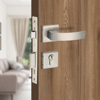 Stainless Steel Rosette Handle | 60mm Cylinder | 3 Brass Keys | One-Side Knob