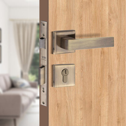 Stainless Steel Rosette Handle | 60mm Cylinder | 3 Brass Keys | One-Side Knob