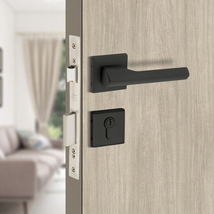 Stainless Steel Rosette Handle | 60mm Cylinder | 3 Brass Keys | One-Side Knob