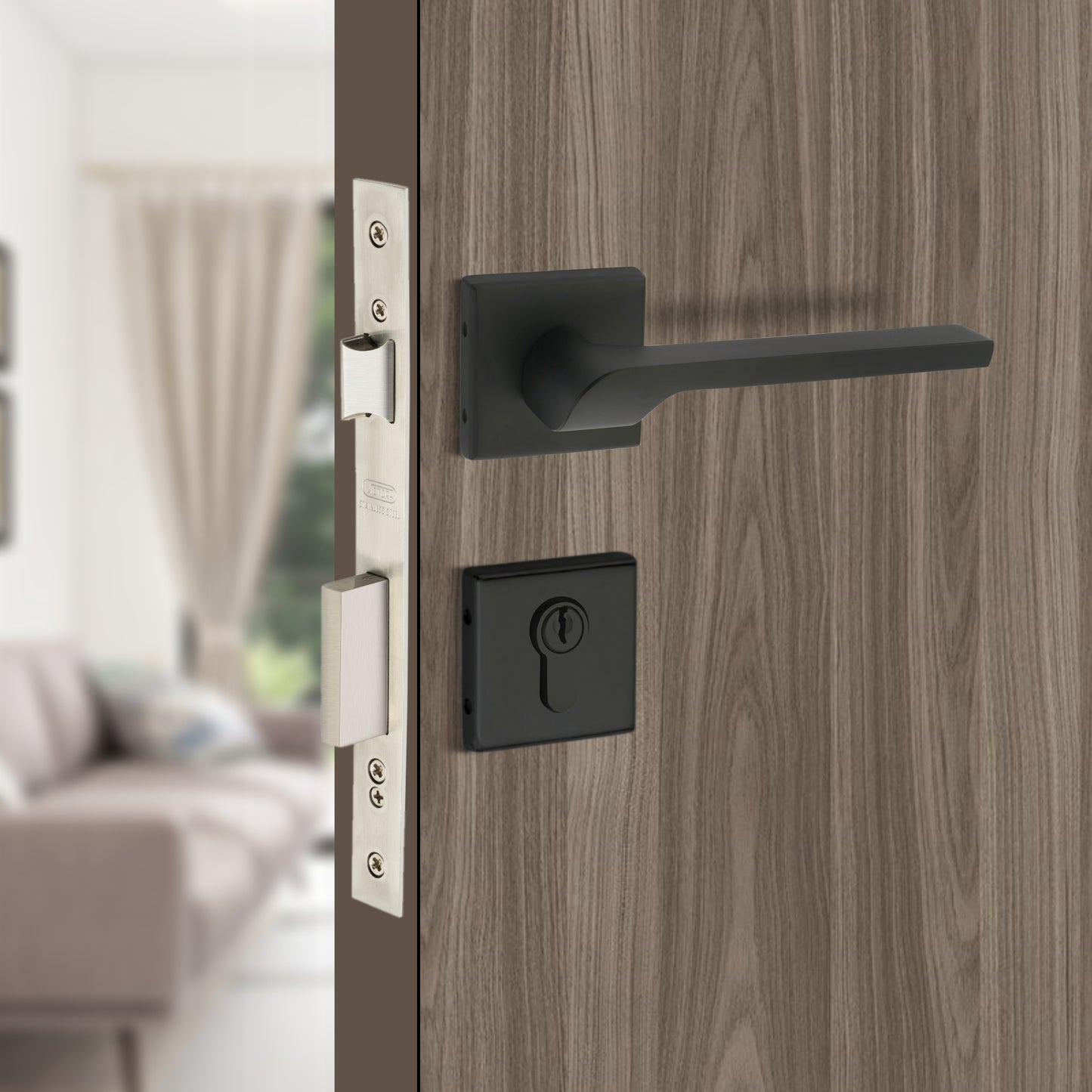 Stainless Steel Rosette Handle | 60mm Cylinder | 3 Brass Keys | One-Side Knob