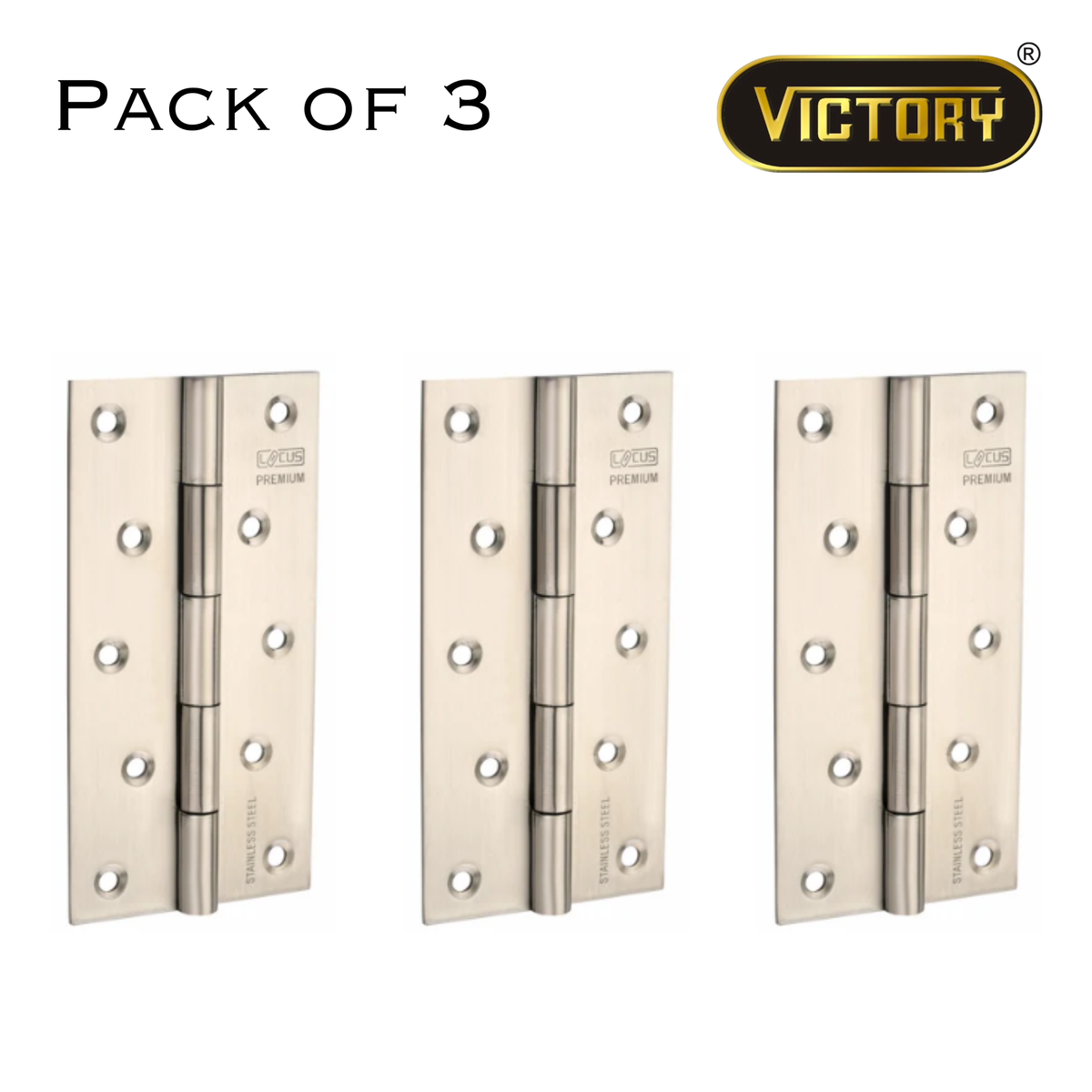 Stainless Steel Premium Hinges | 6×12 |